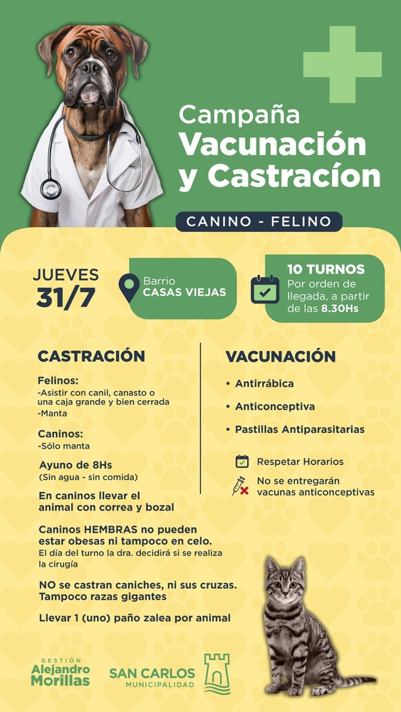 Imagen Noticia